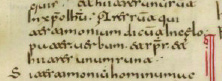 File:1 john 5.7 Codex Toletanus Large.jpg