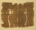 Thumbnail for version as of 10:16, 3 February 2021