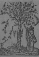 Thumbnail for version as of 12:46, 17 February 2011
