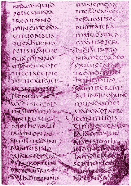 File:Vercellensis.gif