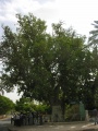 Thumbnail for version as of 20:55, 28 December 2011