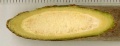 Thumbnail for version as of 11:29, 5 February 2016