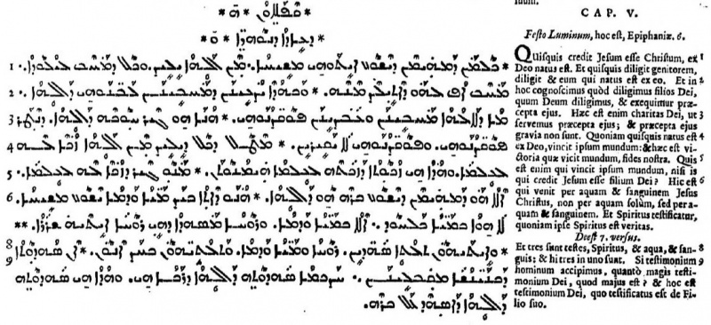 File:Johannine Comma Walton's Polyglot Syriac.jpg