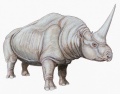 Thumbnail for version as of 03:02, 14 September 2009