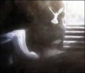 Thumbnail for version as of 03:26, 28 January 2010
