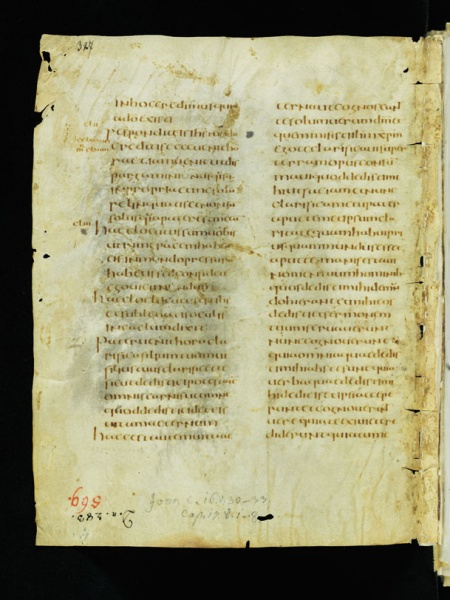 File:Cod. Sangallensis 1395 (Joh 16,30-17,8).jpg