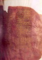 Thumbnail for version as of 12:16, 4 September 2014