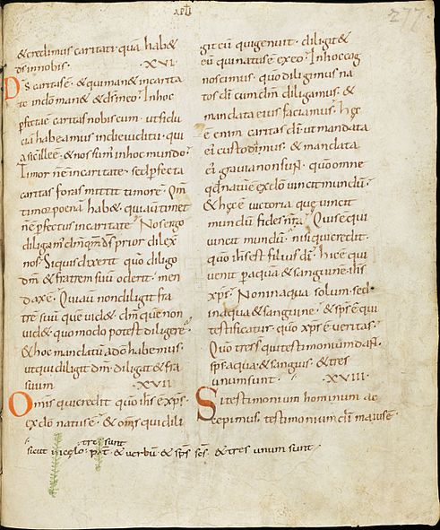Image:Codex Sangallensis 1 John 5.7.jpg