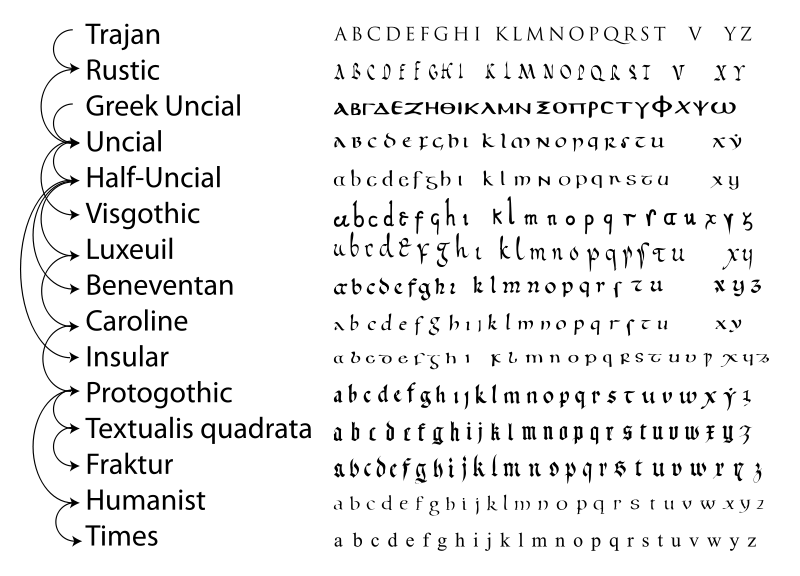 Simplified relationship between various scripts leading to the development of modern lower case of standard Latin alphabet and that of the modern variants, fraktur (used in Germany until recently) and gaelic (Ireland). Several scripts coexisted such as half-uncial and uncial, which derive from Roman cursive and greek uncial, and visigothic, Merovingian (Luxeuil variant here) and Beneventan.  The carolingian scrip was the basis for blackletter and humanist minuscule. What is commonly called "gothic writing" is technically called blackletter (here Textualis quadrata) and is completed unrelated to visigothic script. The letter j is i with a flourish, u and v are the same letter in early scripts and were used depending on their position in insular half-uncial and caroline minuscule and later scripts, w is a ligature of vv, in insular the rune wynn is used as a w (three other runes in use were the thorn (þ), ʻféʼ (ᚠ) as an abbreviation for cattle/goods and maðr (ᛘ) for man). The letters y and z were very rarely used, in particular þ was written identically to y so y was dotted to avoid confusion, the dot was adopted for i only after late-caroline (protgothic), in benevetan script the macron abbreviation featured a dot above.  Lost variants such as r rotunda, ligatures and scribal abbreviation marks are omitted, long s is shown when no terminal s (surviving variant) is present.  Humanist script was the basis for venetian types which changed little until today, such as times new roman (a serifed typeface))