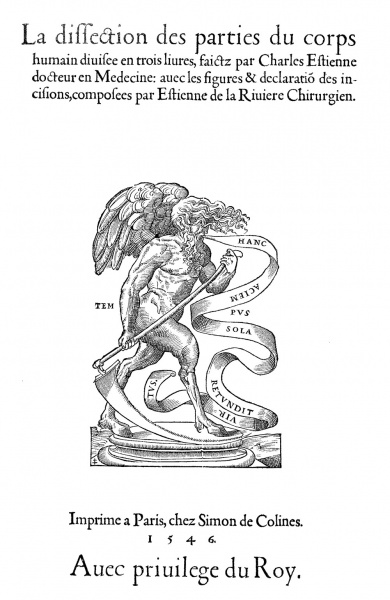 Image:Simon de Colines (1480-1546).jpg