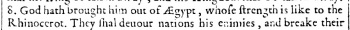 Numbers 24:8 in the 1610 Douay Rheims with Rhinoceros in the main text