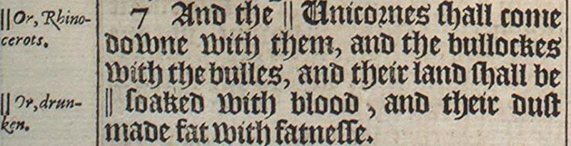 Image:Isaiah 34 7.JPG