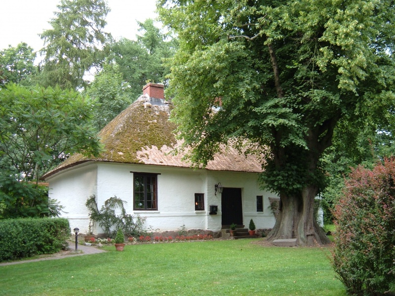 Image:Mennokate.jpg